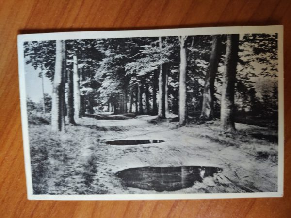 Ansichtkaart Maarn Maarnsche Berg