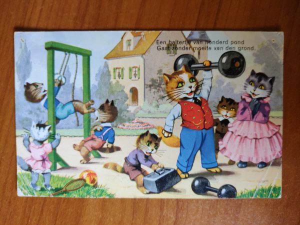 Ansichtkaart 2004 Cats 1936