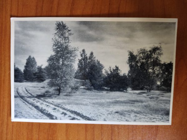 Ansichtkaart Lutterzand Natuurschoon twente