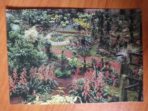 Postcard Gent Florali Flowers