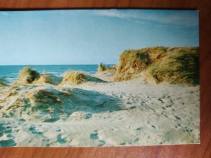 Postcard Belgium Dunes