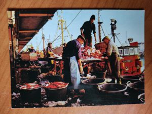 Postcard De Panne Fishermen