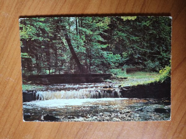 Postcard Forets Ardennes