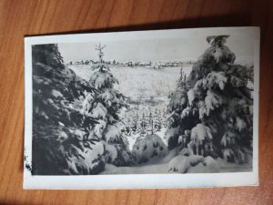 Postcard Frauenwald