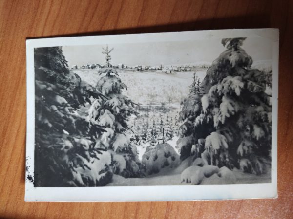 Postcard Frauenwald