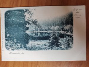 Postcard Schwarzwald Herrenwieser See