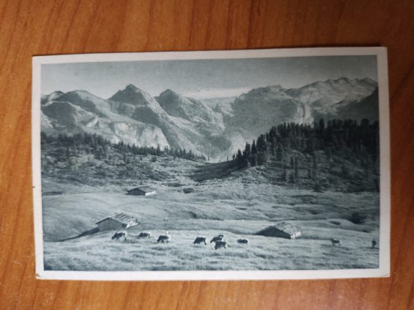 Postcard Gotzenalm bei Berchtesgaden