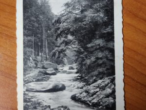 Postkarte Foto Simonson River