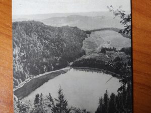 Postkarte Feldsee Schwarzwald