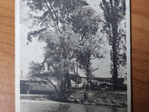 Postkarte Saale hafen