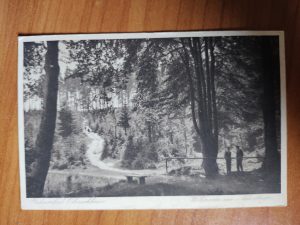 Postkarte Radiumbad Oberschlema