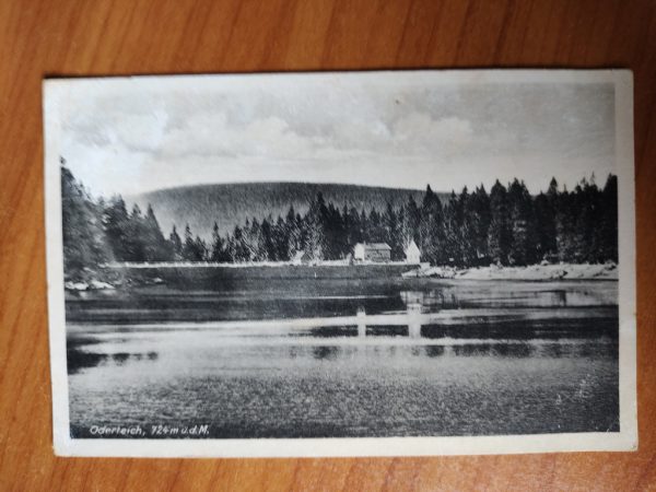 Postkarte Oderteich