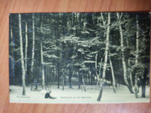 Postkarte Wiesbaden Waldpartie