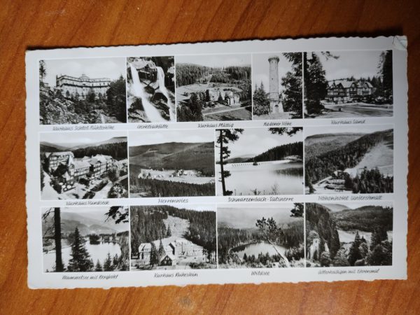 Postkarte Wildsee Herrenwies ua