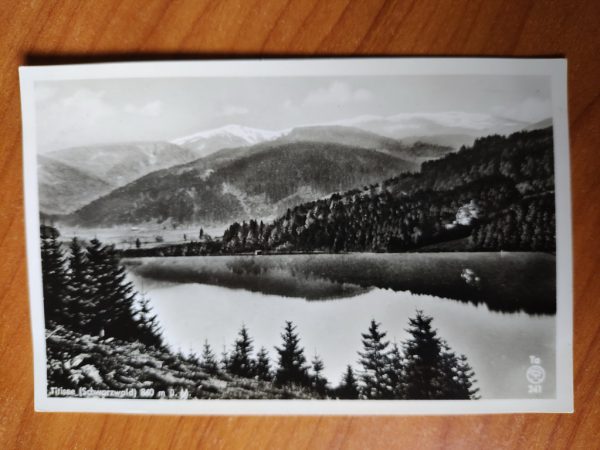 Postkarte Titisee Schwarzwald