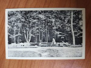Postkarte Reinbek Brunne