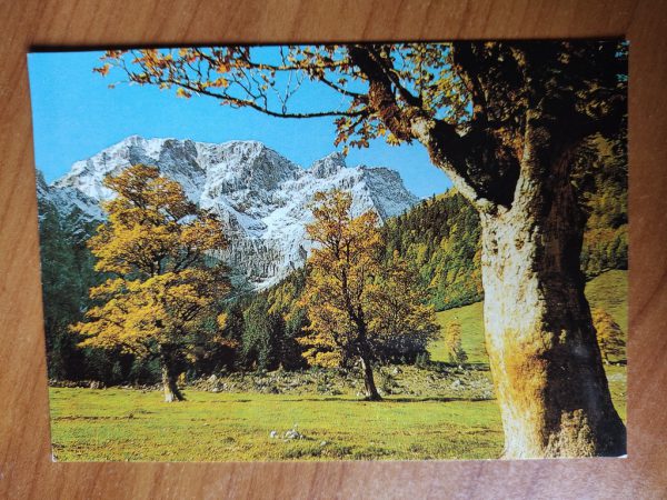 Postcard Ahornboden Tirol