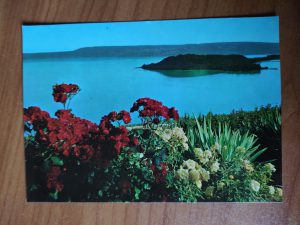 Postcard Lac de Bienne