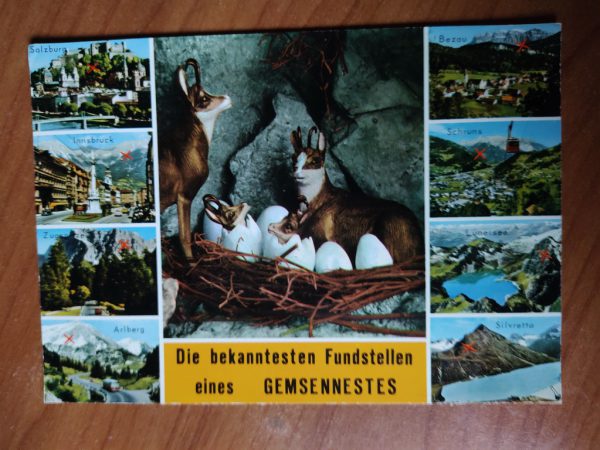 Postcard Fundstellen eines Gemsennestes