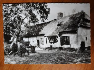 Postcard Bokrijk Doaine Provincial