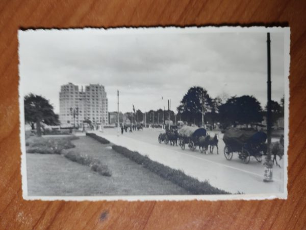 Postcard Unknown Horses 1942