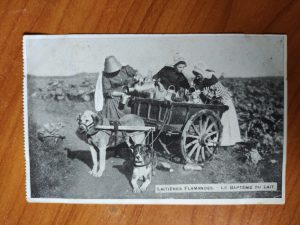 Postcard Laitiere Flamande