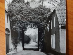 Postcard Zandhoven
