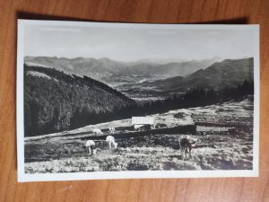 Postcard Tsartal Blomberg