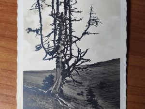 Postcard Hieschberg Bad Wiessee