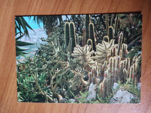 Postcard Monaco Jardin Exotique