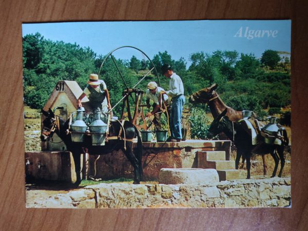 Postcard Algarve Donkey