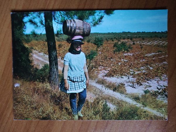 Postcard Alentejo