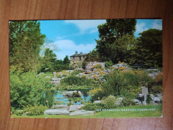 Postcard Cambridge Gardens