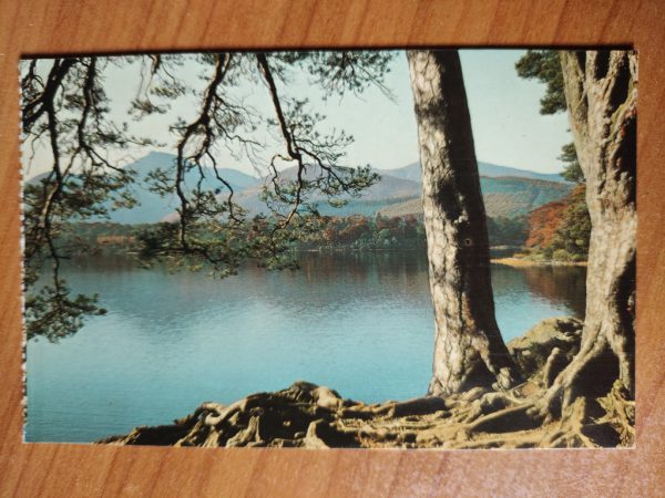 Postcard Derwentwater English Lakes