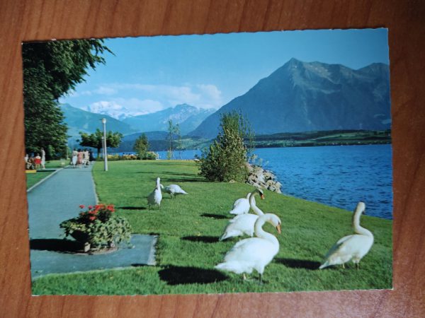 Postcard Thunersee