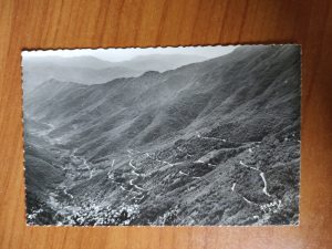 Postcard Mont Aigoual