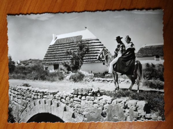 Postcard Camargue Avec les Gardians