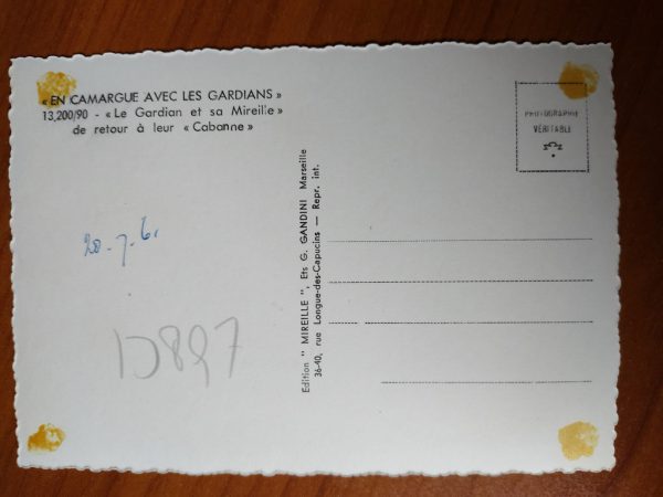 Postcard Camargue Avec les Gardians - Image 2