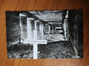 Postcard Verdun Champs de Bataille