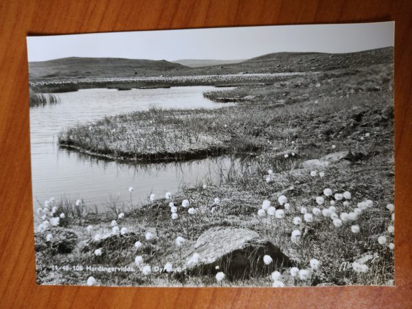 Postcard Hardangervidda