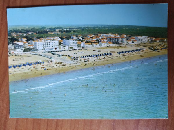 Carte Postale Notre Dame  De Monts