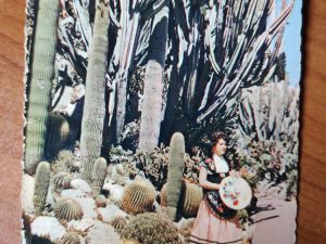Carte Postale Reflets Cote  Azur