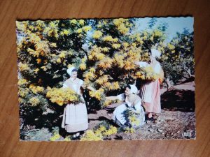 Carte Postale Cote de Azur