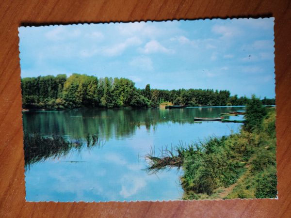 Carte Postale Saone