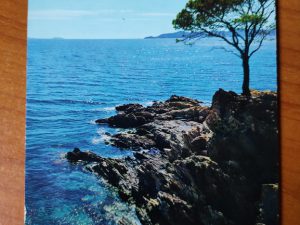 Carte Postale Mediterrannee