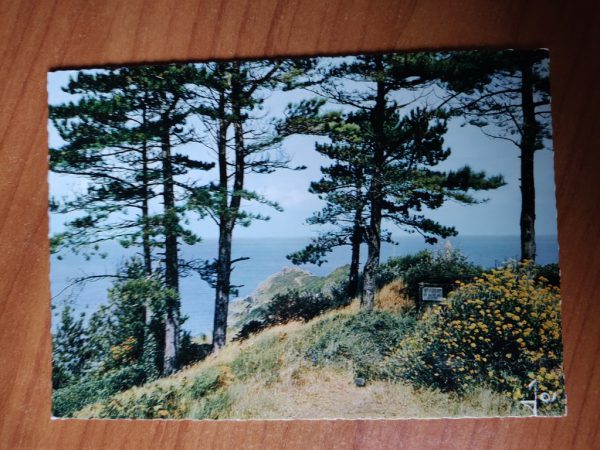 Postcard Saint Cast