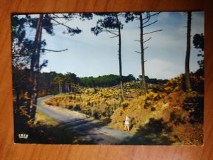 Postcard Cote de Beaute