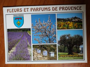 Postcard Fleurs et Parfums de Provence