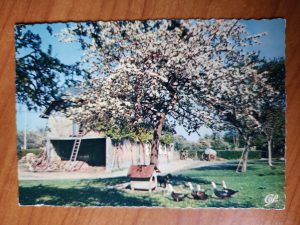 Postcard Normandie