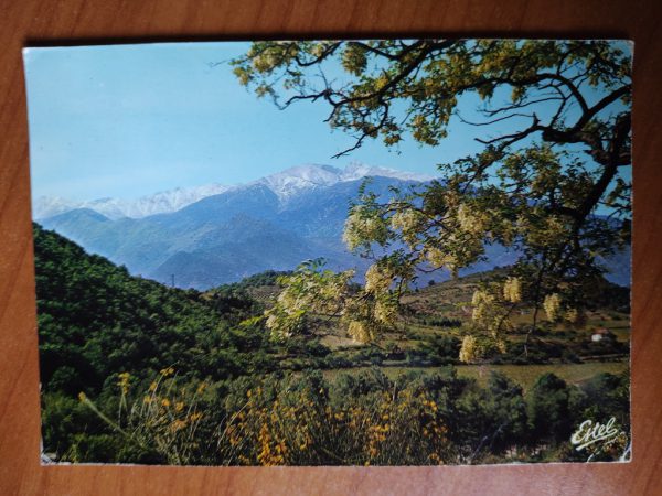 Postcard En Pays Catalan